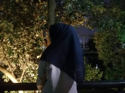 farahanis