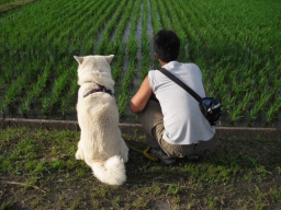 hideki