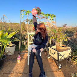 alicemoon