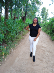 rachel254